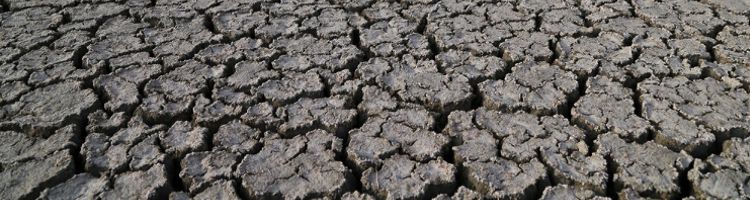 Una tesis propone analizar la gestión de la sequía desde diferentes perspectivas para combatirla de forma más eficiente