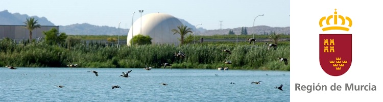 La reutilización de las aguas depuradas en la agricultura Murciana supera ya los 97 hectómetros cúbicos al año