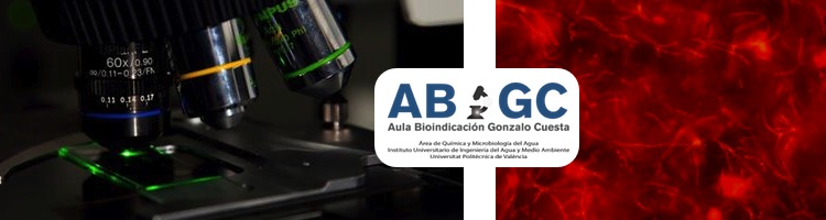 El ABGC lanza nuevo curso on-line avanzado de Identificación de Bacterias Filamentosas en Fangos Activos