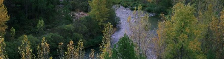El MITECO invertirá 40 M€ en el seguimiento de las aguas continentales del Ebro, Guadalquivir y Tajo
