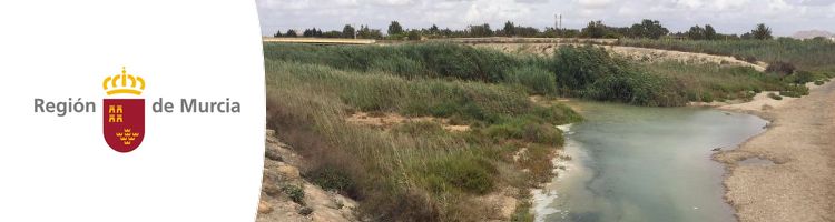 El filtro verde de la rambla del Albujón en Murcia tratará 200 l/s de agua que se destinarán totalmente a uso agrícola