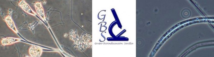 GBS presenta su servicio de "Asesoría Microbiológica para Fangos Activos"