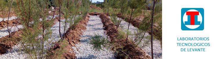 Laboratorios Tecnológicos de Levante arranca un proyecto de regeneración de aguas mediante un nuevo concepto de filtro verde