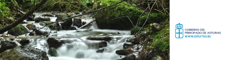 Licitadas por 2,5 M€ las obras de saneamiento de la cuenca del Morcín en Asturias