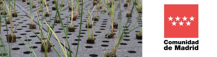 La Comunidad de Madrid desarrolla un proyecto piloto para depurar las aguas con plantas vegetales
