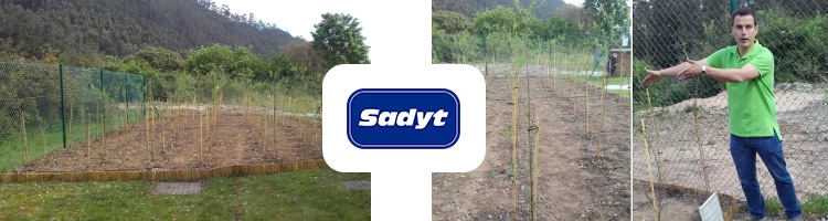 SADYT desarrolla un nuevo filtro verde de bajo coste y mejorado para la eliminación de contaminantes emergentes