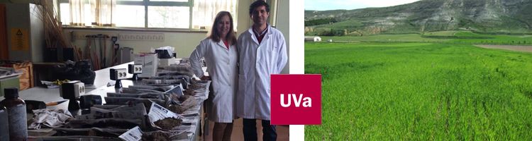 La UVa estudia si se origina contaminación en suelos agrícolas con el uso de lodos procedentes de EDAR
