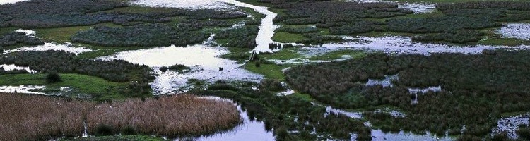 La CHG adjudica por 5,4 millones de euros la sexta fase para mejorar el saneamiento en el entorno de Doñana