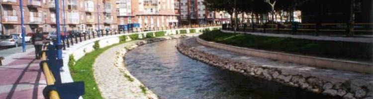 La CH del Duero investiga una mortandad de peces en el río Esgueva  a su paso por Valladolid
