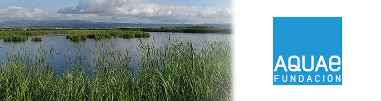 Los humedales de depuración del Delta del Ebro protagonizan un nuevo "Encuentros para la Biodiversidad" de Fundación Aquae