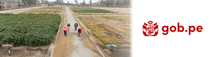 El MVCS de Perú presenta un catálogo de plantas que ayudan al tratamiento de las aguas residuales urbanas