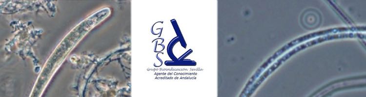 GBS abre la primera convocatoria para el 2024 de las nuevas actividades formativas a distancia en Enero