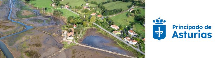 Asturias invierte 1,62 M€ en recuperar los humedales y porreos de la reserva natural de la ría de Villaviciosa