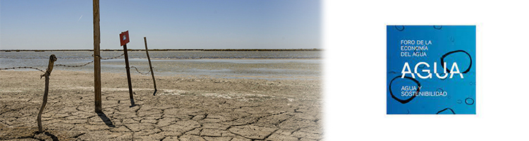 La agricultura sostenible y la reforestación, claves para paliar la desertificación, según el Foro de la Economía del Agua