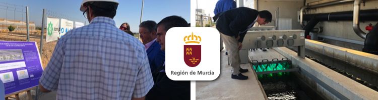 El humedal de la EDAR de Los Alcázares en Murcia desnitrificará el agua a un mejor precio y de manera más sostenible