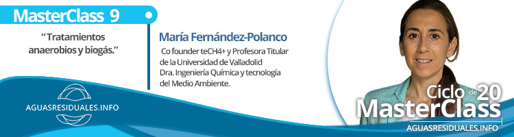 María Fernández-Polanco, impartirá la MasterClass 9 sobre "Tratamientos Anaerobios y Biogás"