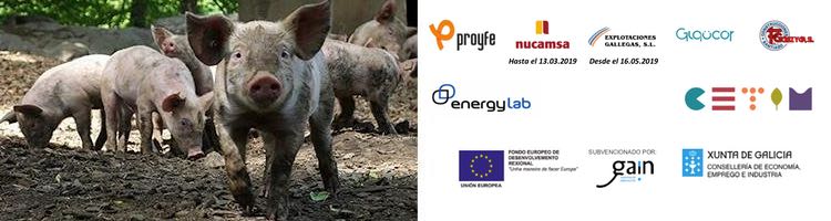 PURENER: Desarrollo de un sistema de tratamiento integral y sostenible de los purines porcinos: de residuo a recurso