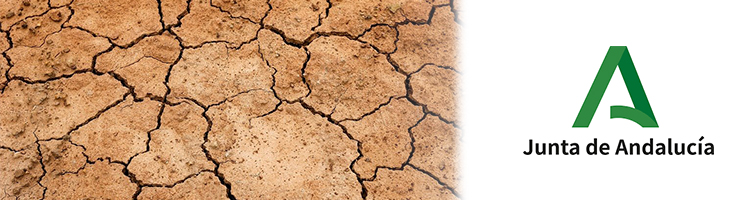 Aprobada la ampliación del decreto de sequía y medidas urgentes que movilizará 141,5 M€ en Andalucía