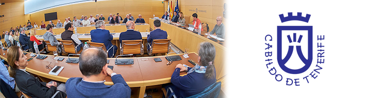 El Cabildo de Tenerife confirma el respaldo unánime del sector agrario a la declaración de emergencia hídrica