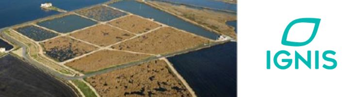 Liberados ejemplares de galápagos en peligro de extinción en La Albufera de Valencia