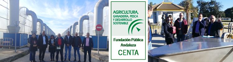 Socios del proyecto MENAWARA sobre reutilización del agua en agricultura visitan el CENTA y otras instalaciones