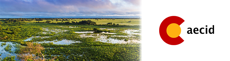 Pantanal: El desafío de gestionar recursos hídricos transfronterizos en América Latina y preservar su medio ambiente