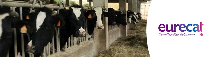 Eureca-CTM inicia un estudio para regenerar agua para el ganado a partir de agua residual urbana