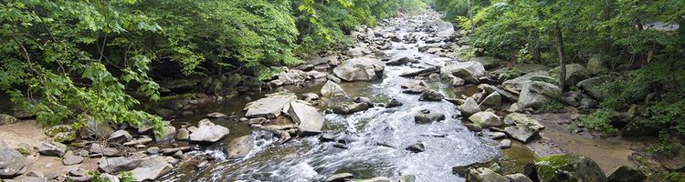 ¿Qué es el caudal ecológico de un río?