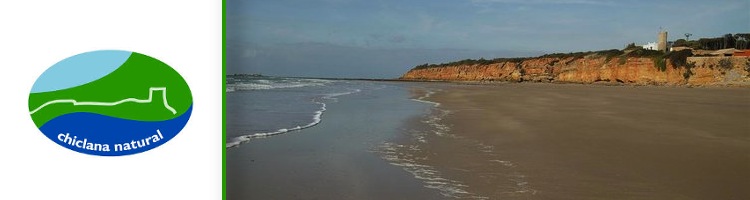 Realizan obras de mejora de la red de saneamiento de la playa de la Barrosa en Cádiz para minimizar vertidos al mar