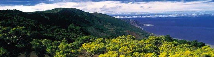 Las administraciones invertirán casi 20 millones de euros  para garantizar la protección del agua en las Islas Canarias