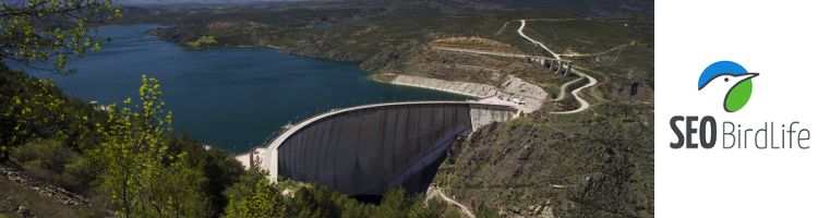 El Gobierno incumple la Ley de Aguas según las principales organizaciones ecologistas