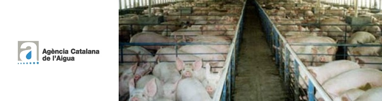 La ACA denuncia a una granja del municipio de Navata en Gerona que vertía de manera ilegal purines al alcantarillado