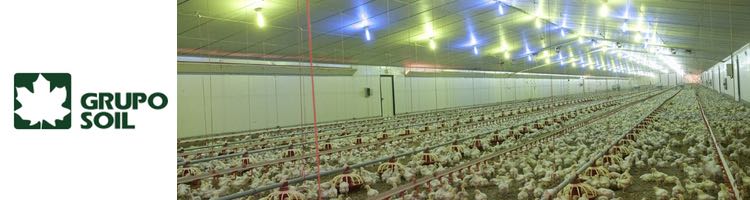 Grupo SOIL construirá una EDARI para la planta de sacrificio de aves de Uvesa en Segovia