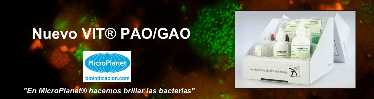 Nuevo kit VIT® PAO/GAO para el control de bacterias en procesos de eliminación biológica mejorada de fósforo