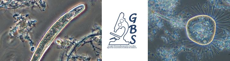 GBS lanza su programa 2018 de ejercicios de interlaboratorios sobre microbiología del fango activo