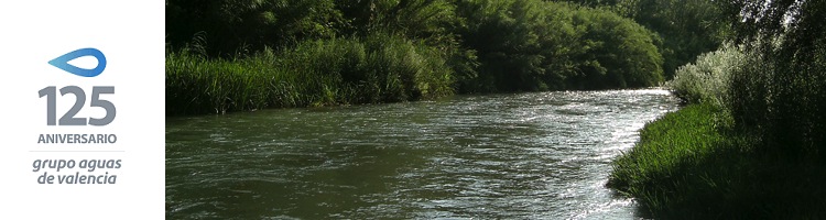 Voluntarios del Grupo Aguas y la Fundación LIMNE limpian el río Turia de ricino