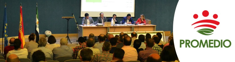 PROMEDIO en Badajoz aprueba un presupuesto de más de 27 M€ para 2018