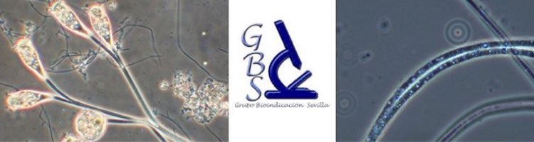 GBS presenta su servicio de Asesoría Microbiológia para Fangos Activos durante 2023