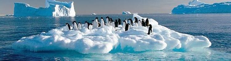 Los contaminantes emergentes llegan a la Antártida a través del vertido de aguas residuales