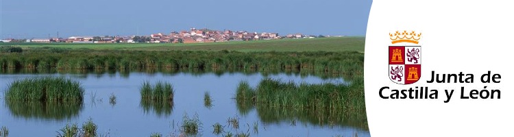 La Junta invierte más de 2,5 millones de euros en la recuperación de los humedales de Castilla y León