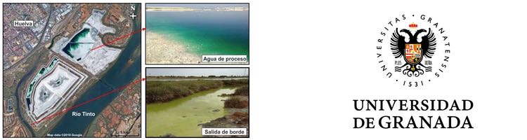 Un estudio de la UGR prueba la contaminación de la Ría de Huelva por la intensa actividad industrial
