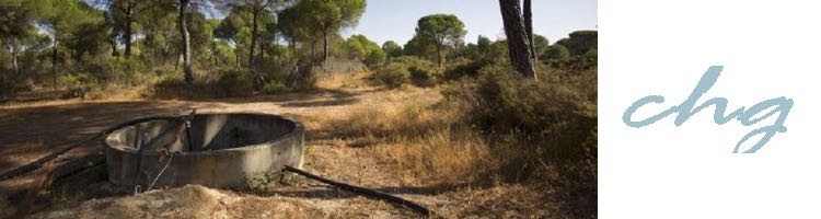 El presidente de la CH del Guadalquivir anuncia el cierre inminente de 81 pozos en el entorno de Doñana