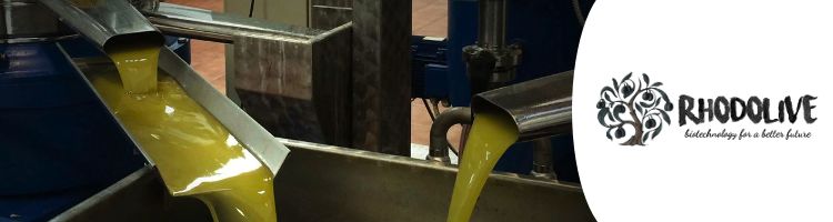 Proyecto RHODOLIVE: Una segunda vida para las aguas residuales generadas en la producción de aceite de oliva
