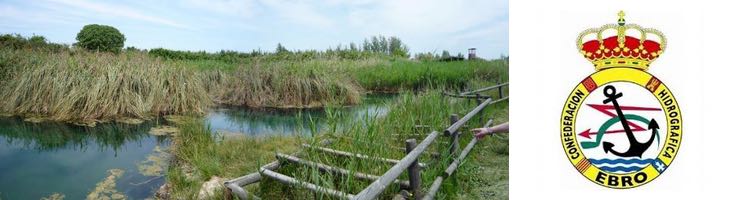 La CH del Ebro ha continuado en 2019 los trabajos de restauración varios humedales artificiales en la provincia de Zaragoza
