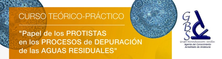 GBS organiza en Sevilla el Curso Teórico-Práctico "Papel de los Protistas en los Procesos de Depuración de las Aguas Residuales"
