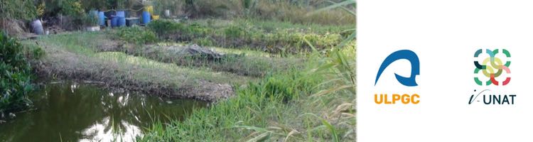 Investigadores del I-UNAT ensayan en Tarifa la depuración natural de fármacos en las aguas residuales