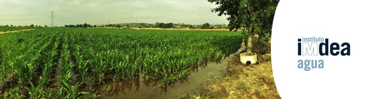 Vega Baja del Jarama, agricultura y calidad del agua