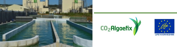 El proyecto de microalgas CO2ALGAEFIX culmina tras cuatro años de investigación