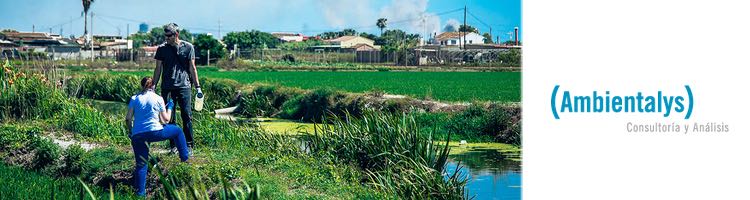 Aproximación al papel de los arrozales en la mejora de la calidad del agua del Parc Natural de L’Albufera de València