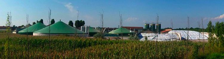 ¿Cómo hacer eficiente la producción de biogás?